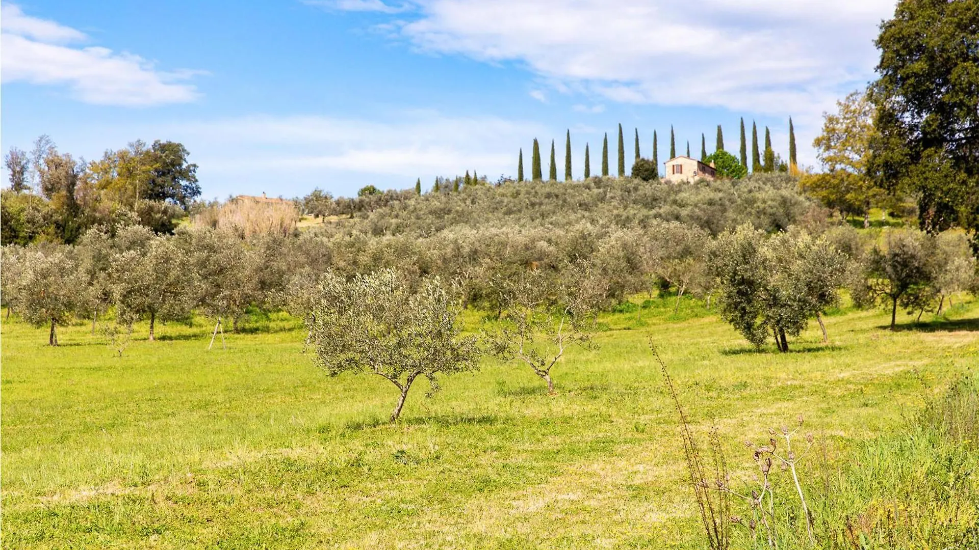 Roseto Immacolata Villa Roccastrada 0*,  İtalya