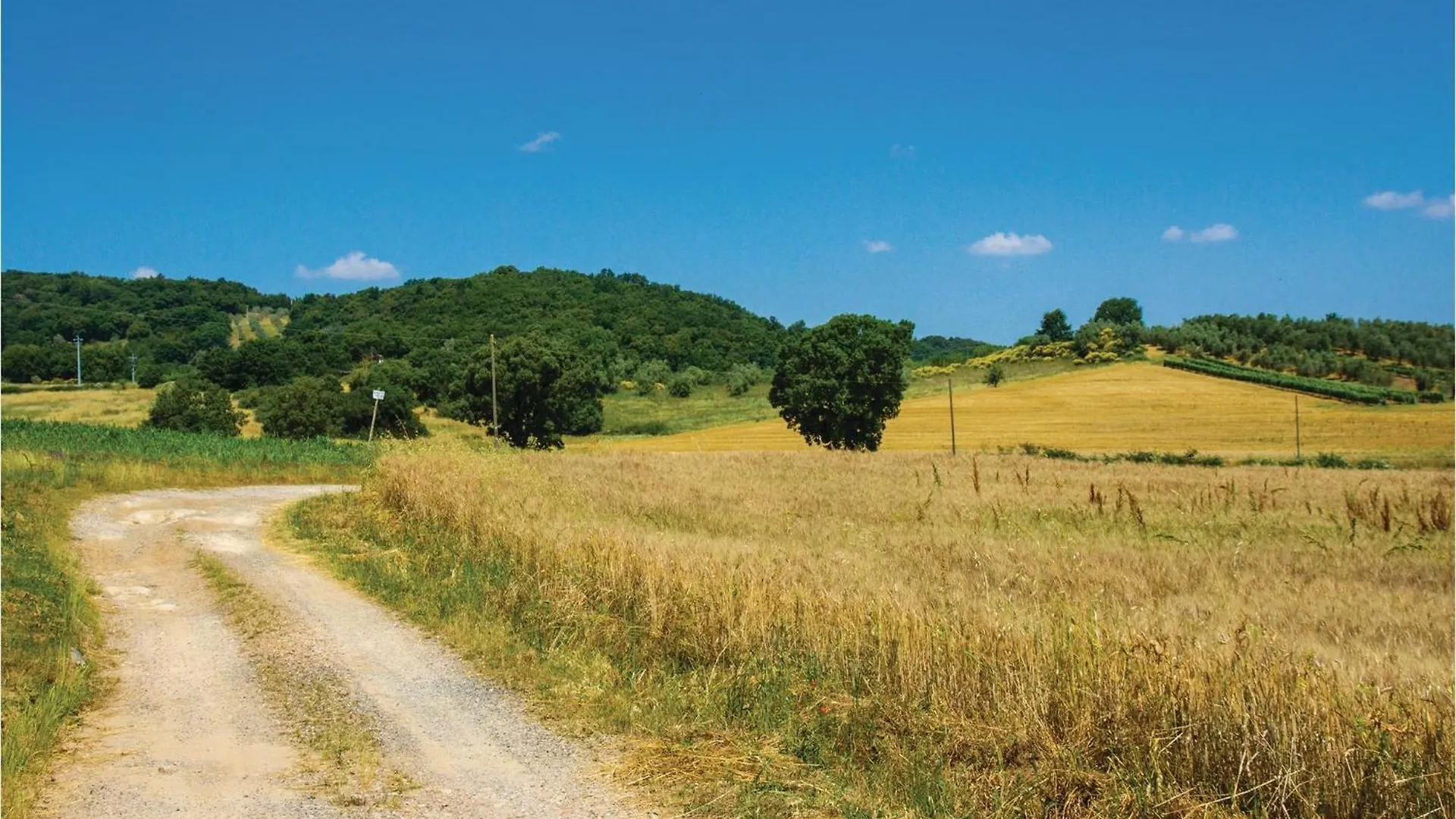 Roseto Immacolata Holiday home Roccastrada