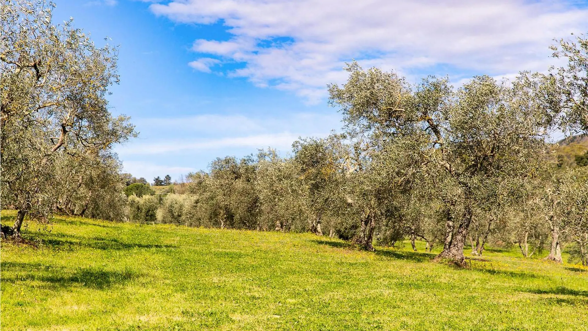Roseto Immacolata Holiday home Roccastrada Italy